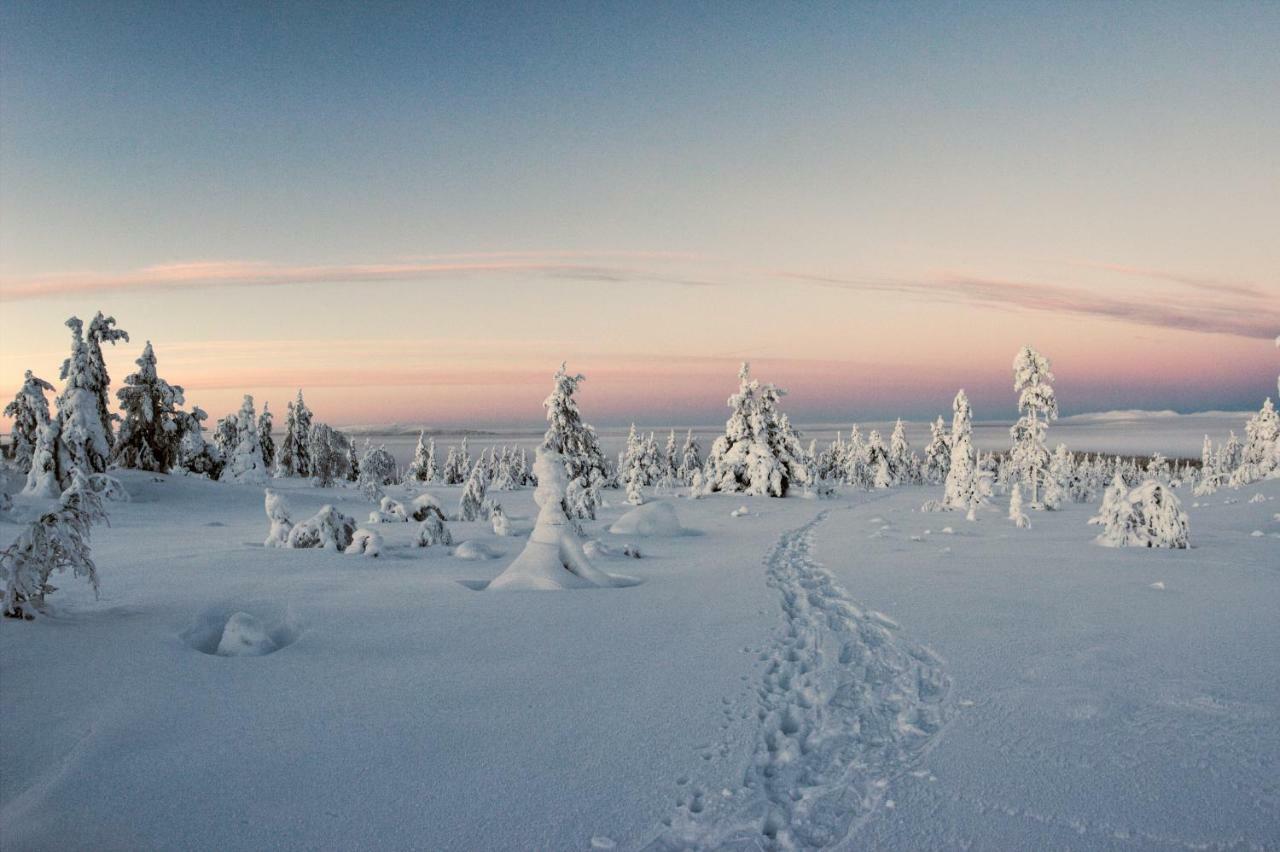 Lapland Dream Villas Rauhala Ngoại thất bức ảnh